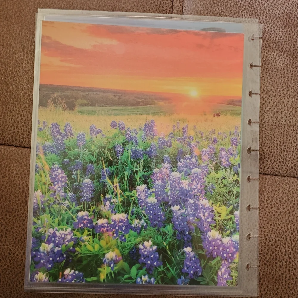 Happy Planner classic sized cover homemade Psalm 27:1 mountains *defects*